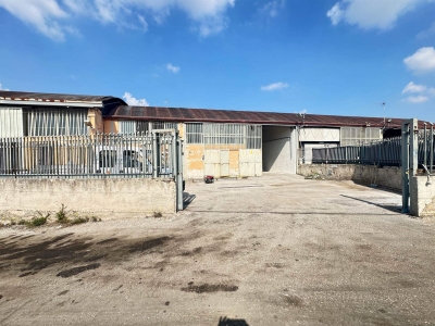 immagine annuncio 4 di 9