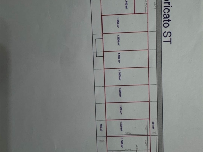 immagine annuncio 2 di 9