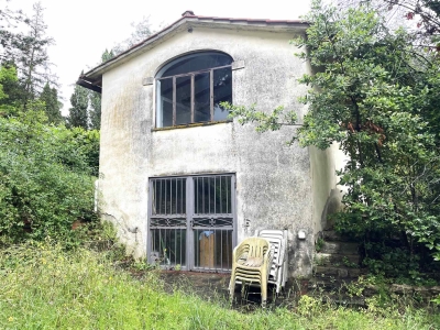 immagine annuncio 6 di 9