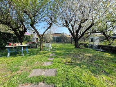 immagine annuncio 6 di 9