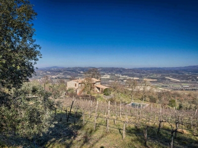 immagine annuncio 6 di 9