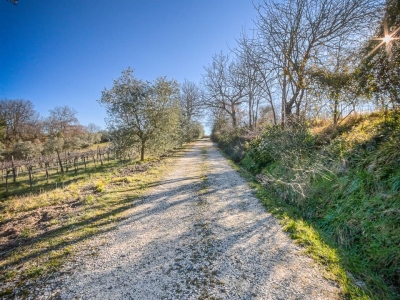 immagine annuncio 7 di 9