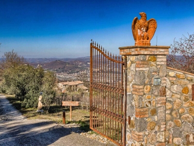 immagine annuncio 8 di 9