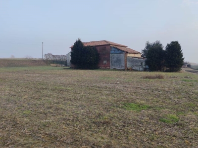 immagine annuncio 7 di 8
