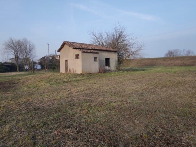 immagine annuncio 2 di 8