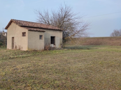 immagine annuncio 1 di 8