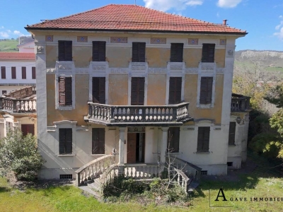 immagine annuncio 1 di 8