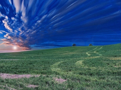 immagine annuncio 3 di 9