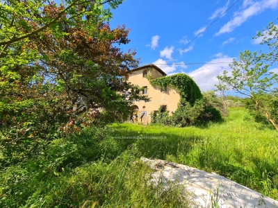immagine annuncio 5 di 9