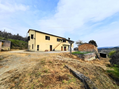 immagine annuncio 4 di 9