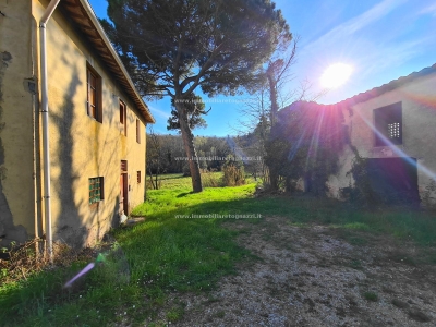 immagine annuncio 2 di 9