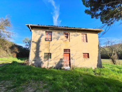 immagine annuncio 4 di 9