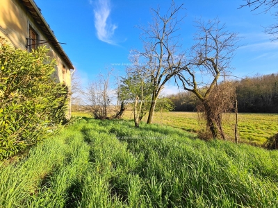 immagine annuncio 8 di 9