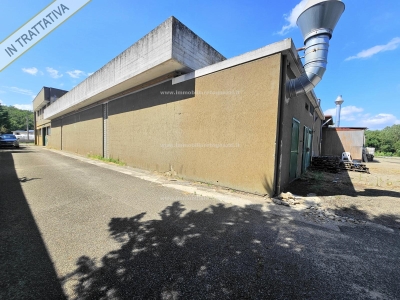 immagine annuncio 1 di 9