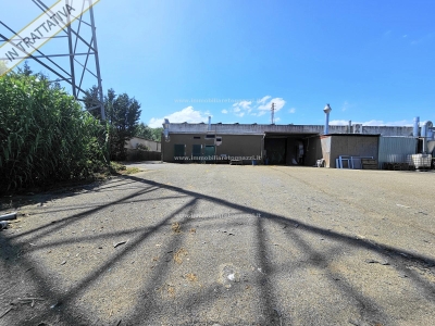 immagine annuncio 3 di 9