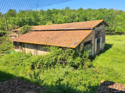 immagine annuncio 3 di 9
