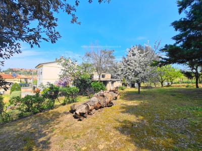 immagine annuncio 1 di 9