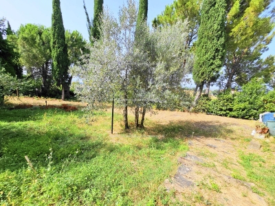 immagine annuncio 3 di 8