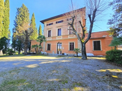 immagine annuncio 2 di 9
