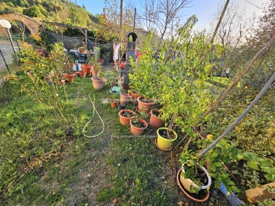 immagine annuncio 7 di 9
