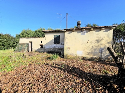 immagine annuncio 2 di 9