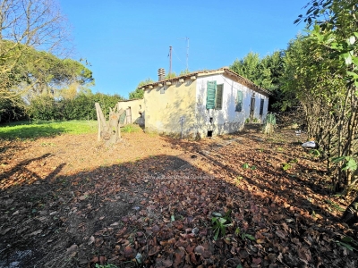 immagine annuncio 3 di 9