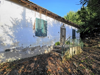 immagine annuncio 4 di 9