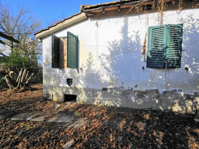 immagine annuncio 5 di 9