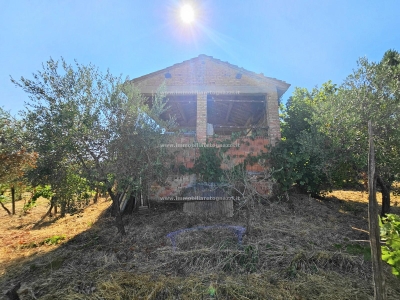 immagine annuncio 6 di 9