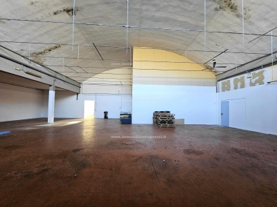 immagine annuncio 5 di 9