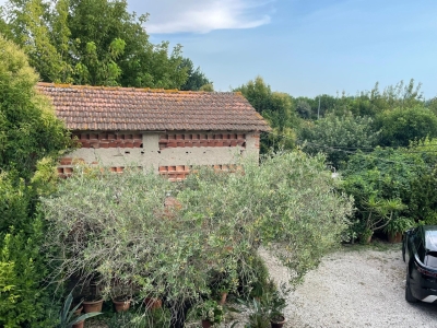 immagine annuncio 8 di 9