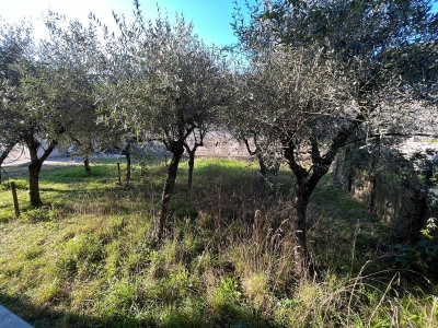 immagine annuncio 7 di 8