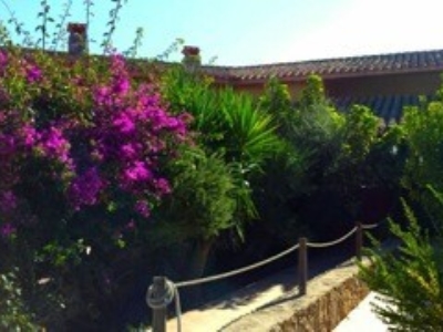 immagine annuncio 4 di 9