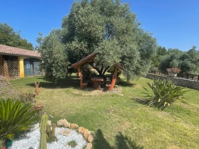 immagine annuncio 7 di 9