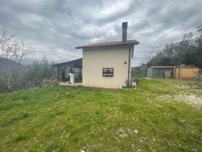 immagine annuncio 1 di 9