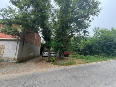 immagine annuncio 3 di 9
