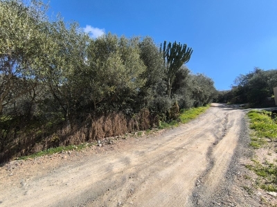 immagine annuncio 2 di 9