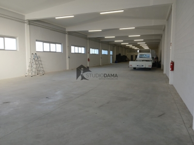 immagine annuncio 3 di 9