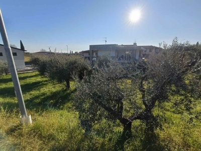 immagine annuncio 6 di 9