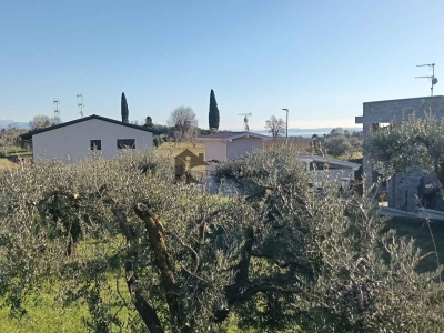 immagine annuncio 4 di 9