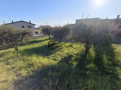 immagine annuncio 1 di 9