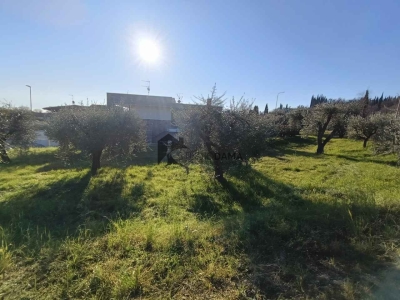 immagine annuncio 7 di 9