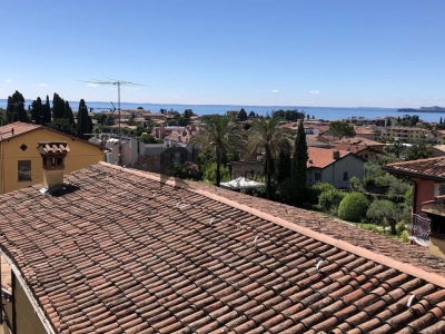 immagine annuncio 5 di 9