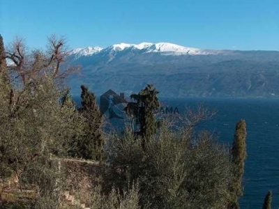 immagine annuncio 3 di 8