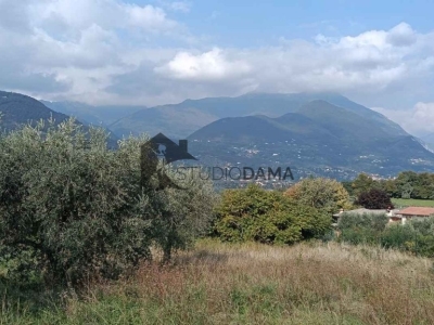 immagine annuncio 6 di 8