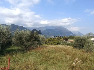 immagine annuncio 5 di 8