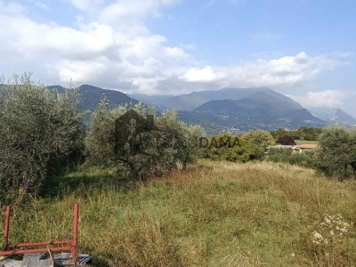 immagine annuncio 7 di 8