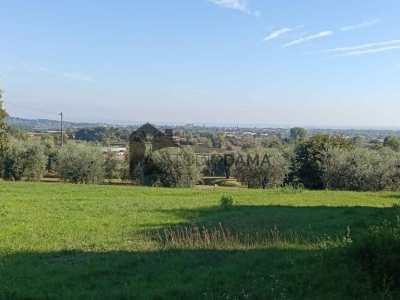 immagine annuncio 5 di 7