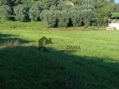 immagine annuncio 3 di 7