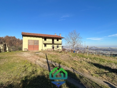 immagine annuncio 4 di 9